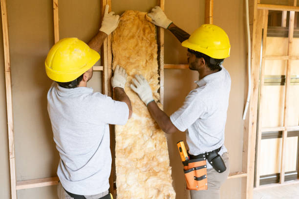 Best Blown-In Insulation  in Lena, IL